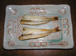 酒の肴 2006 5.1.jpg
